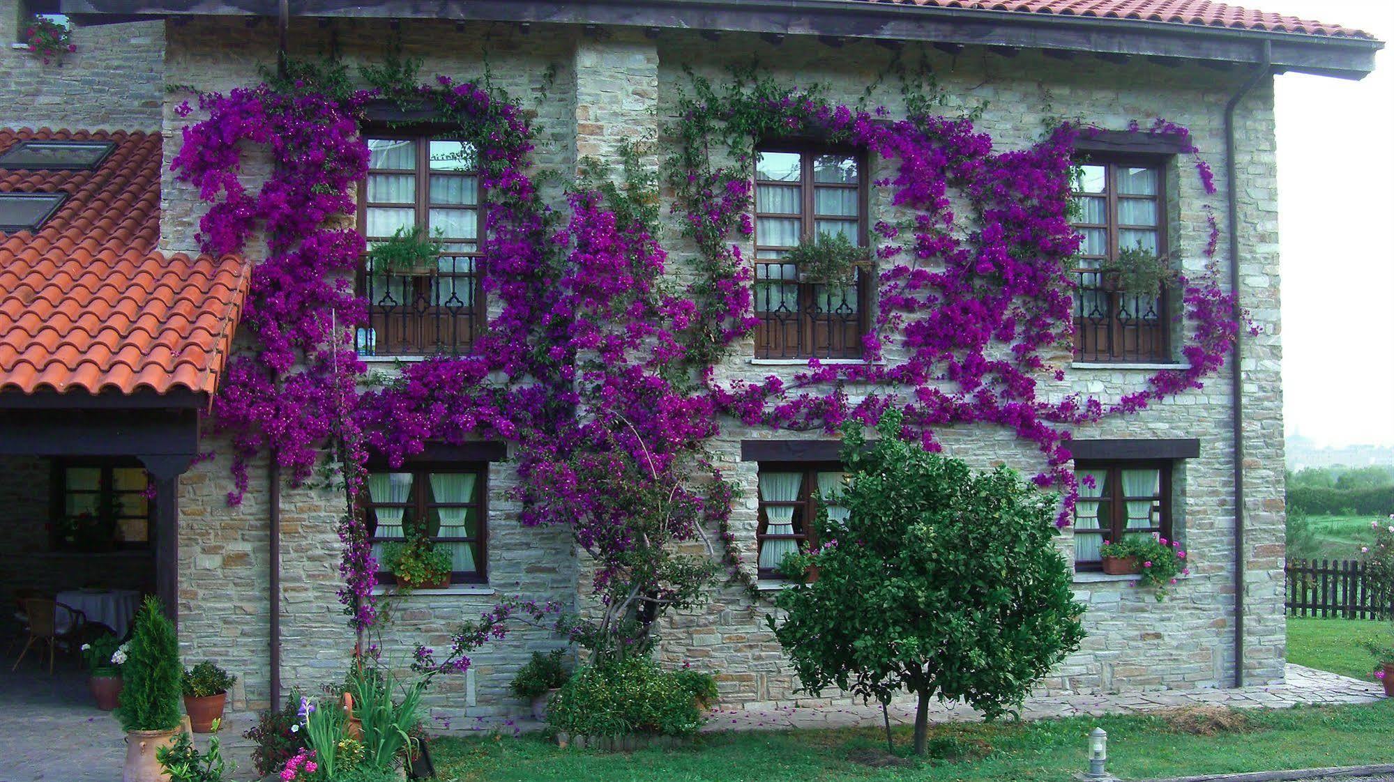 Hotel Rural Casona De Cefontes Exterior photo